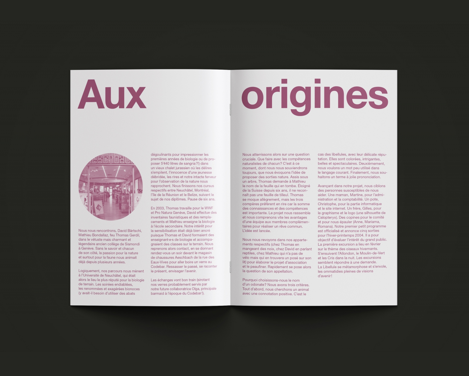 Association La Libellule - Brochure 20 ans