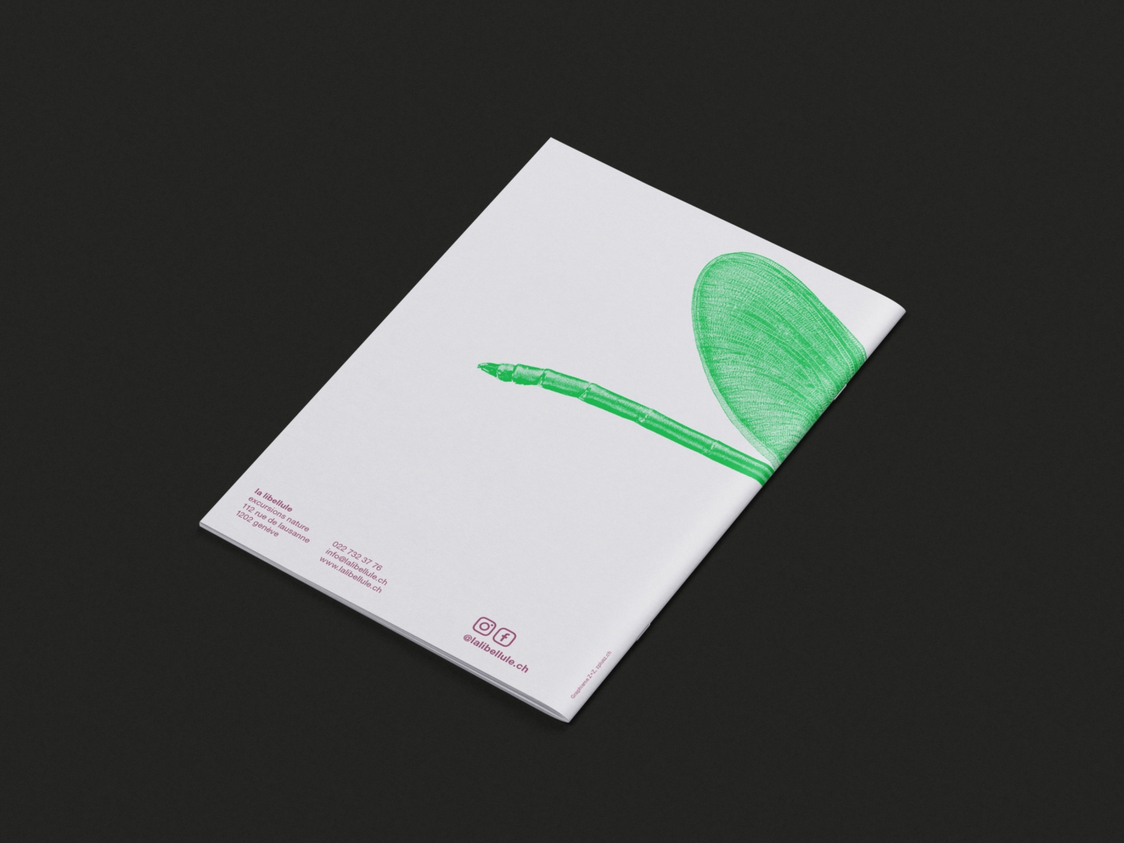 Association La Libellule - Brochure 20 ans