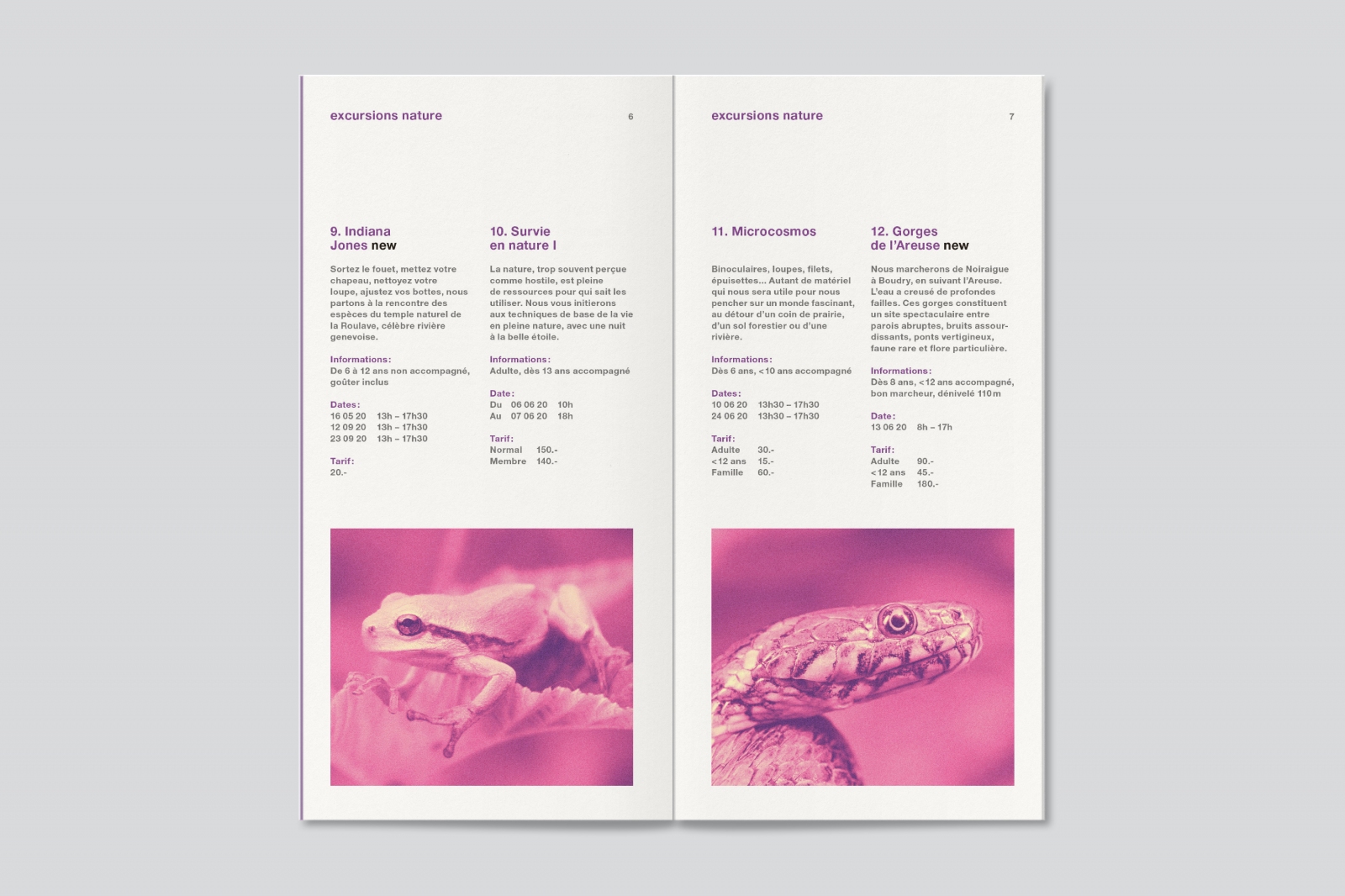 Association La Libellule - Programme